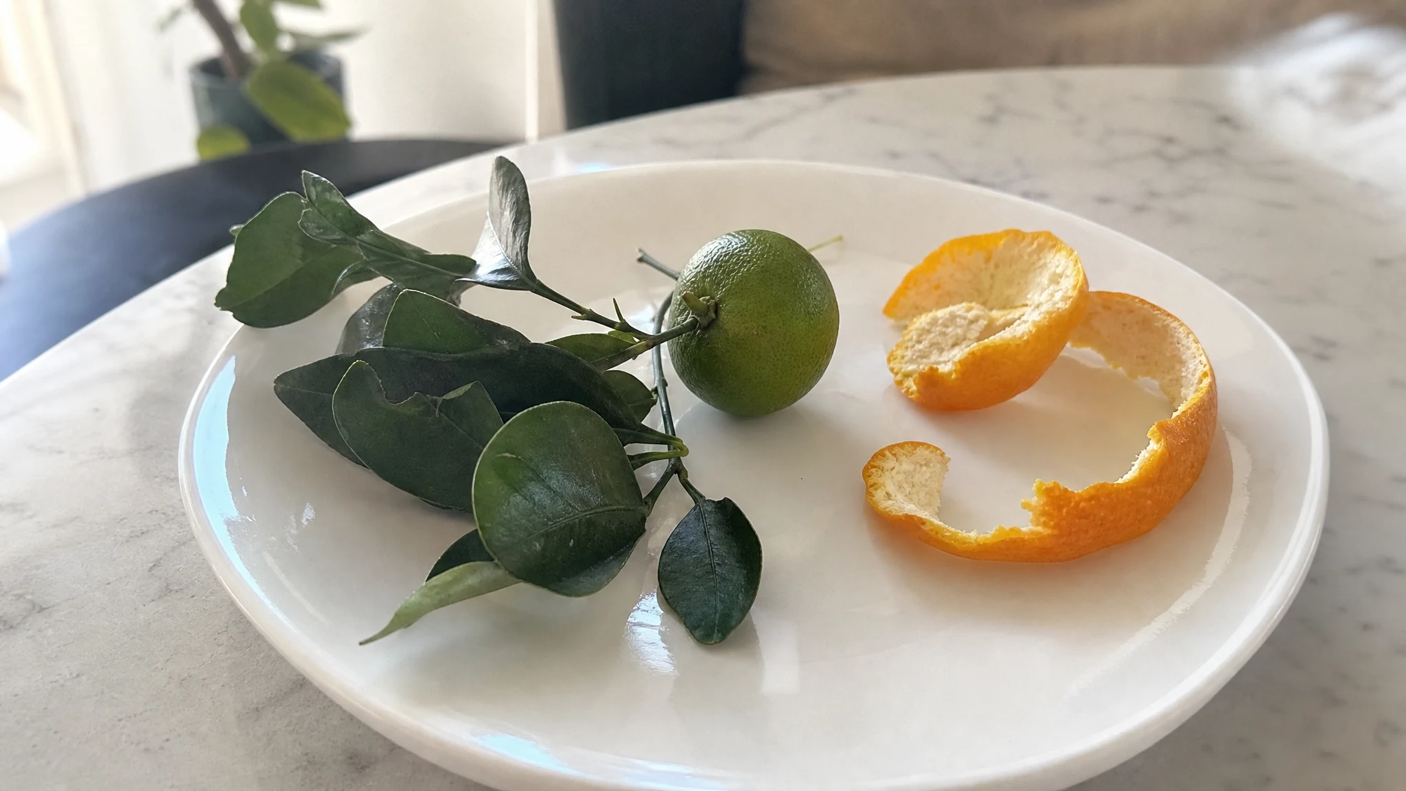 Mandarin Petitgrain vs Mandarin Peel Oil: Leaf or Fruit?